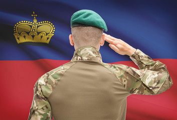 National military forces with flag on background conceptual series - Liechtenstein