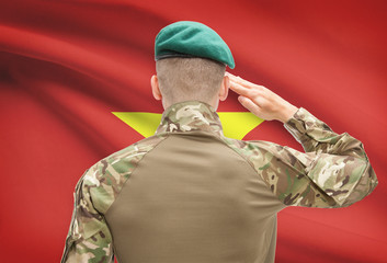 National military forces with flag on background conceptual series - Vietnam