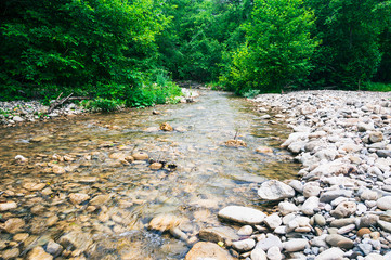 View of the mountain river