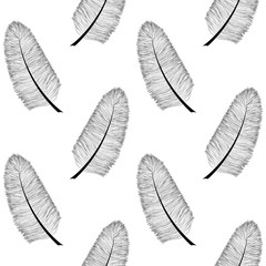Hand drawn feather seamless pattern
