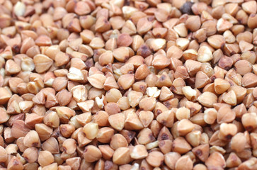buckwheat
