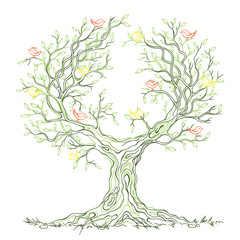Vector graphic green branchy tree with birds