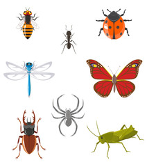 Cartoon insect icon set