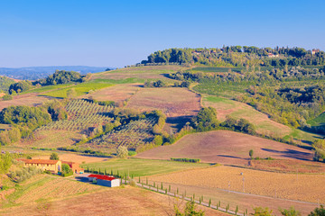Fototapeta premium Lonely isolated farm in the grown hills of San Miniato