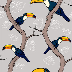 Tukans on trees, seamless background © Olaola