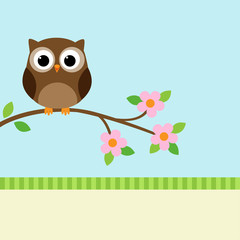 Owl on blooming branch
