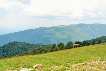 Fototapeta na wymiar Parang mountains, Romania. 
