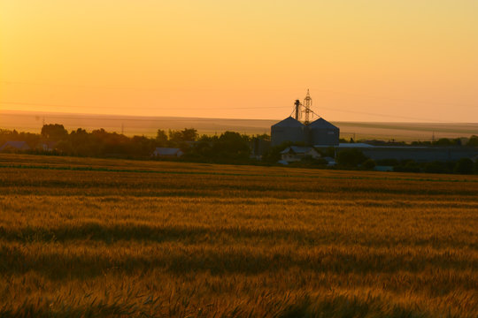 Agriculture sunset landscape
