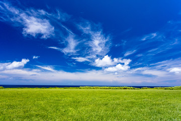 海岸線と草原
