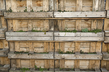 Jardineras de madera colgadas en pared de madera.