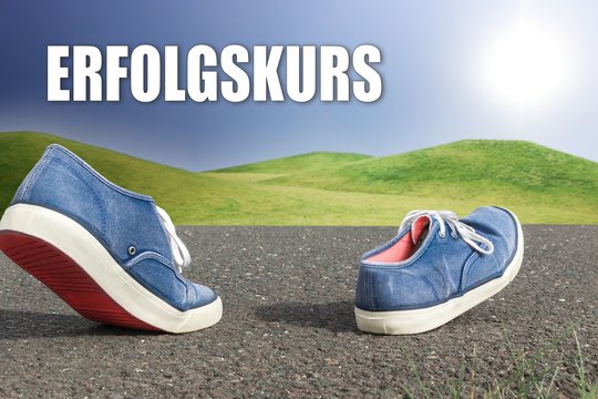 Erfolgskurs - Konzept