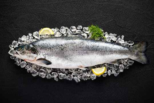 Salmon fish and ingredients on ice on a black stone table top vi