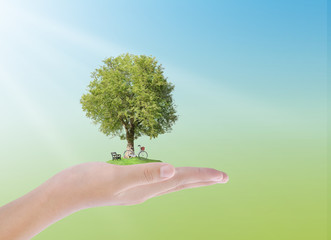 Hand holding tree,chair,bicycle  , wellness concept
