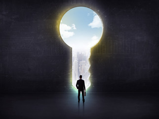 Obraz premium businessman looking a big key