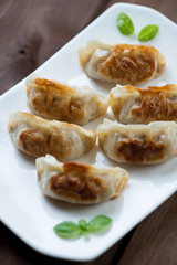 Close-up of japanese traditional gyoza dumplings, studio shot