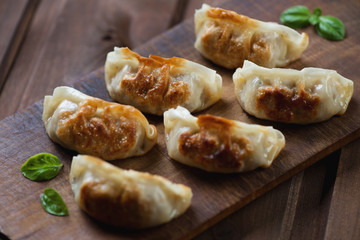 Pan fried gyoza dumplings on a rustic wooden background