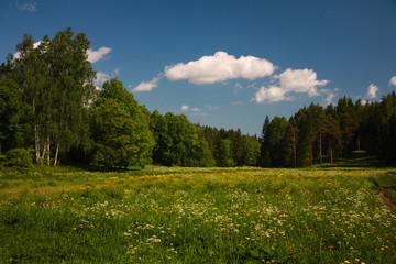 Pavlovsk Park