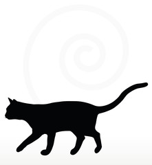 cat silhouette in Walking pose