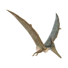 Pteranodon © photosvac