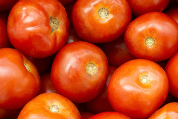 Fresh tomatoes 