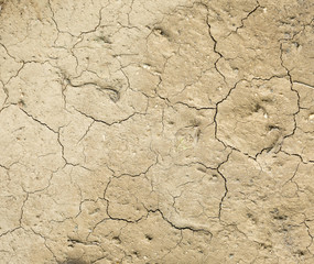 Dry clay texture as background