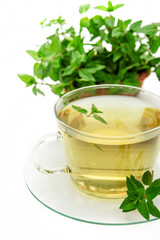 Cup of green tea with mint, close-up, selective focus