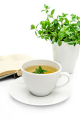 Cup of green tea with mint, close-up, selective focus