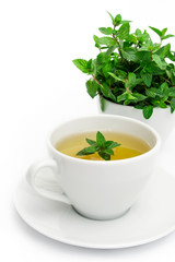 Cup of green tea with mint, close-up, selective focus