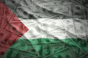 colorful waving palestinian flag on a american dollar money background