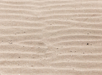 Fototapeta na wymiar background of sand in nature