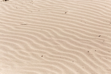 Fototapeta na wymiar background of sand in nature