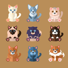 Breeds of Cats Icons. Vector Illustration.