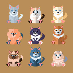Fototapeta premium Breeds of Cats Icons. Vector Illustration.