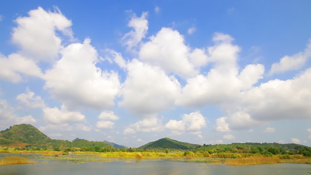 Lake with blue sky in summer season