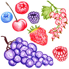 food vector berries