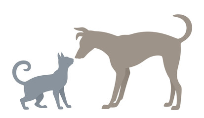 Cat and dog