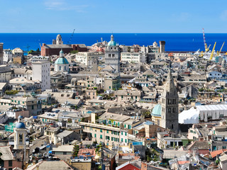 Aerial view of the downtown of Genoa in a sunny day