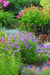 Многолетние цветы на дачном участке