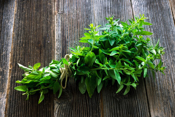 bunch of raw green herb marjoram