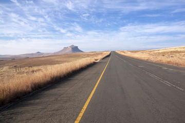 Fototapeta na wymiar Ashpalt Road Bordered by Winter Grass in South Africa