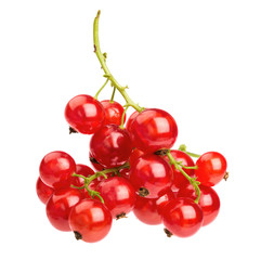 Red currants isolated on white