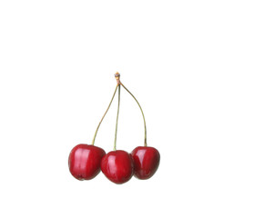 cherry berries isolated on white background cutou