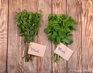 Different fresh herbs on wooden background