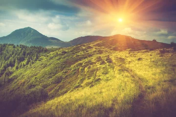 Poster Summer mountain landscape at sunshine. Hiking trail in the hills. © vovik_mar