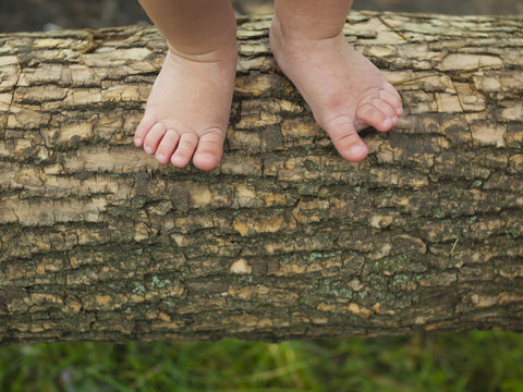 Baby feet are standing on a tree branch.