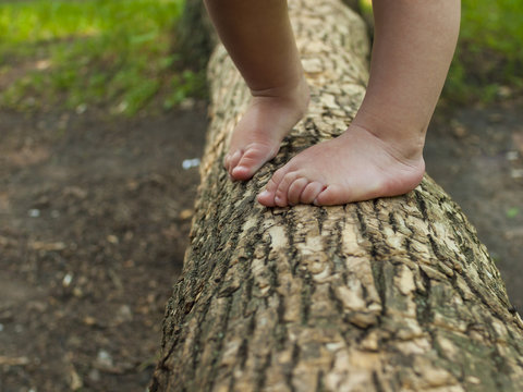 Baby feet are standing on a tree branch.