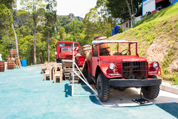 Fototapeta premium old trucks and landscape view in garden of 7 heaven krabi thaila