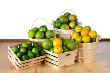 Citric's Fruits