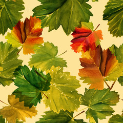 Watercolour vine leaves seamless background pattern