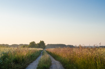 landscape with  country road in summer
